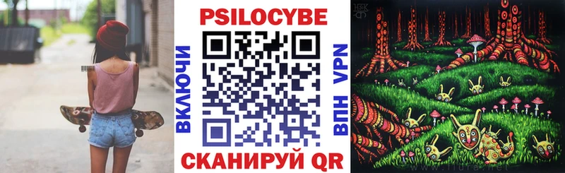 Купить  Циолковский  Псилоцибиновые грибы Psilocybe 